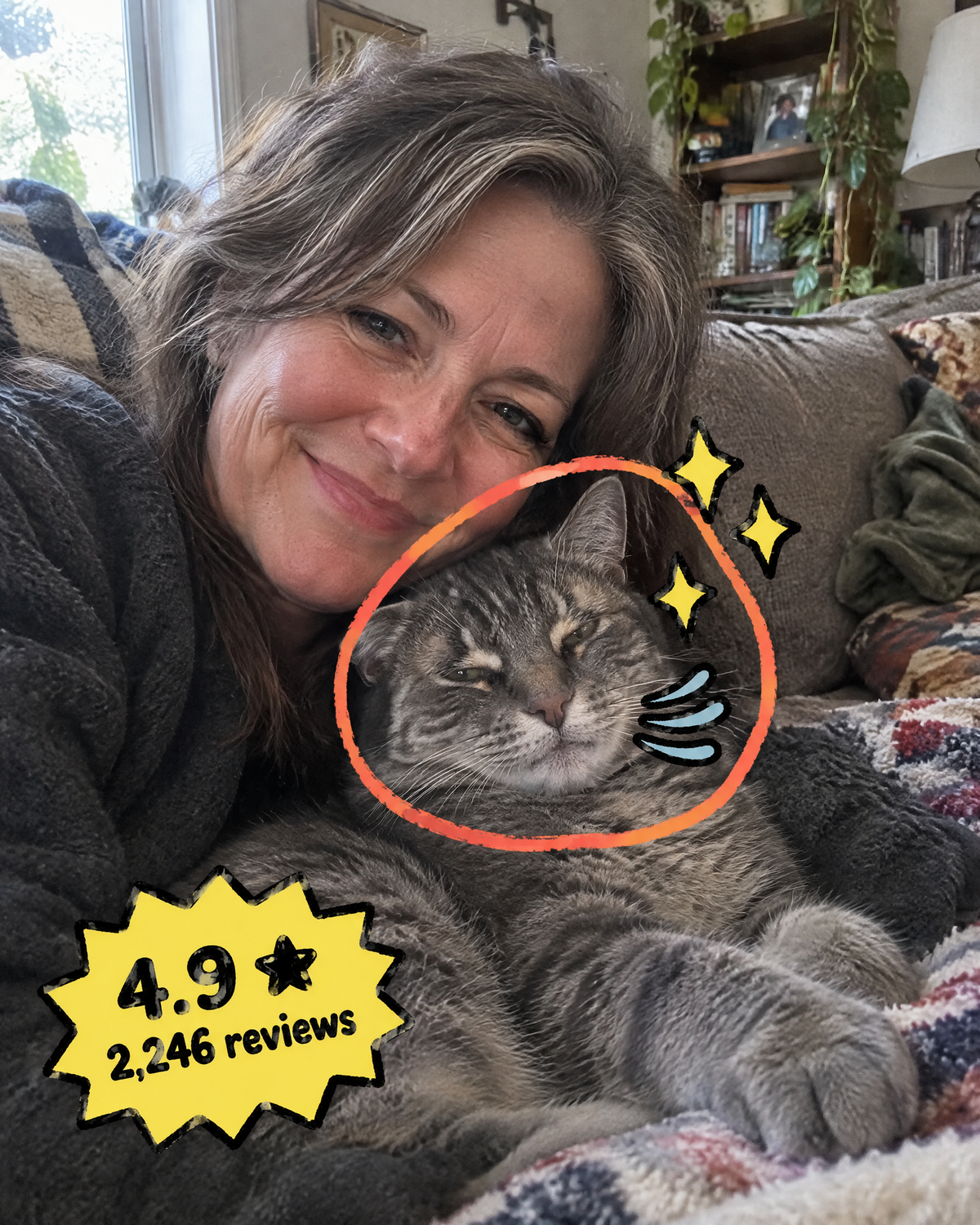 Owner with a cat on their lap, close and relaxed