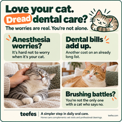 Advanced Pet Oral Spray