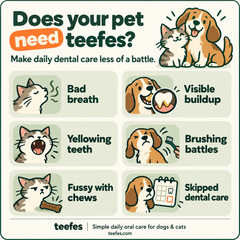 Advanced Pet Oral Spray
