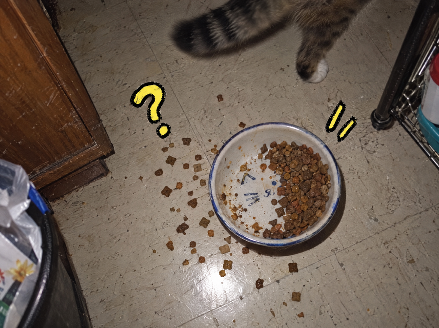 Kibble dropped around a cat food bowl on a kitchen floor
